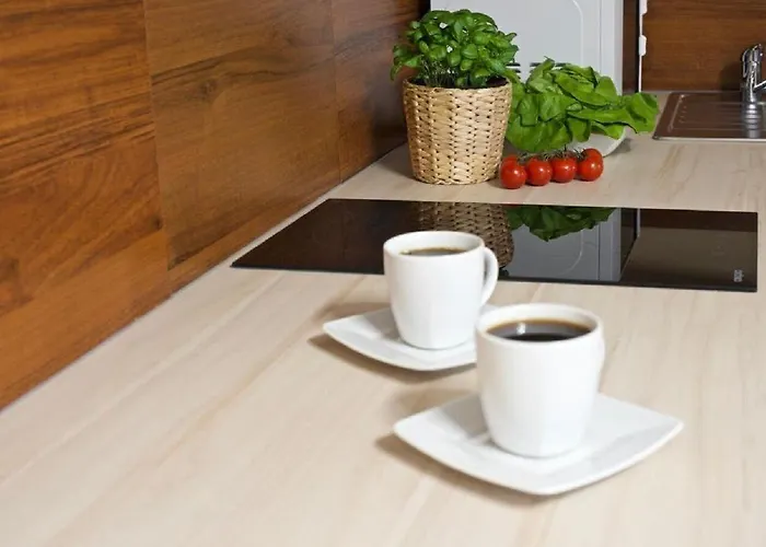 Apart-center Motyl ザコパネ