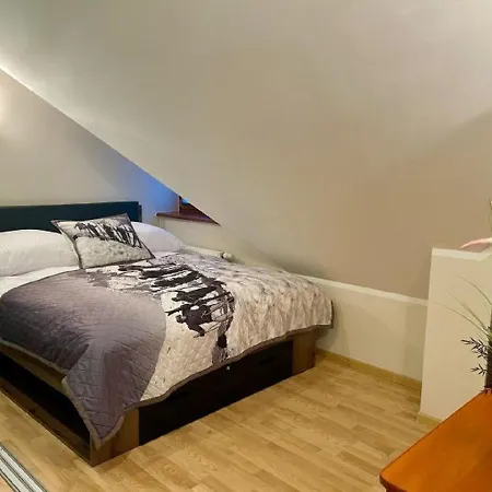 Apart-center Motyl Apartment