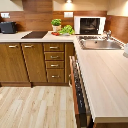 Apart-center Motyl Apartment Zakopane